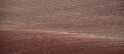 Predigt am Sonntag Lätare